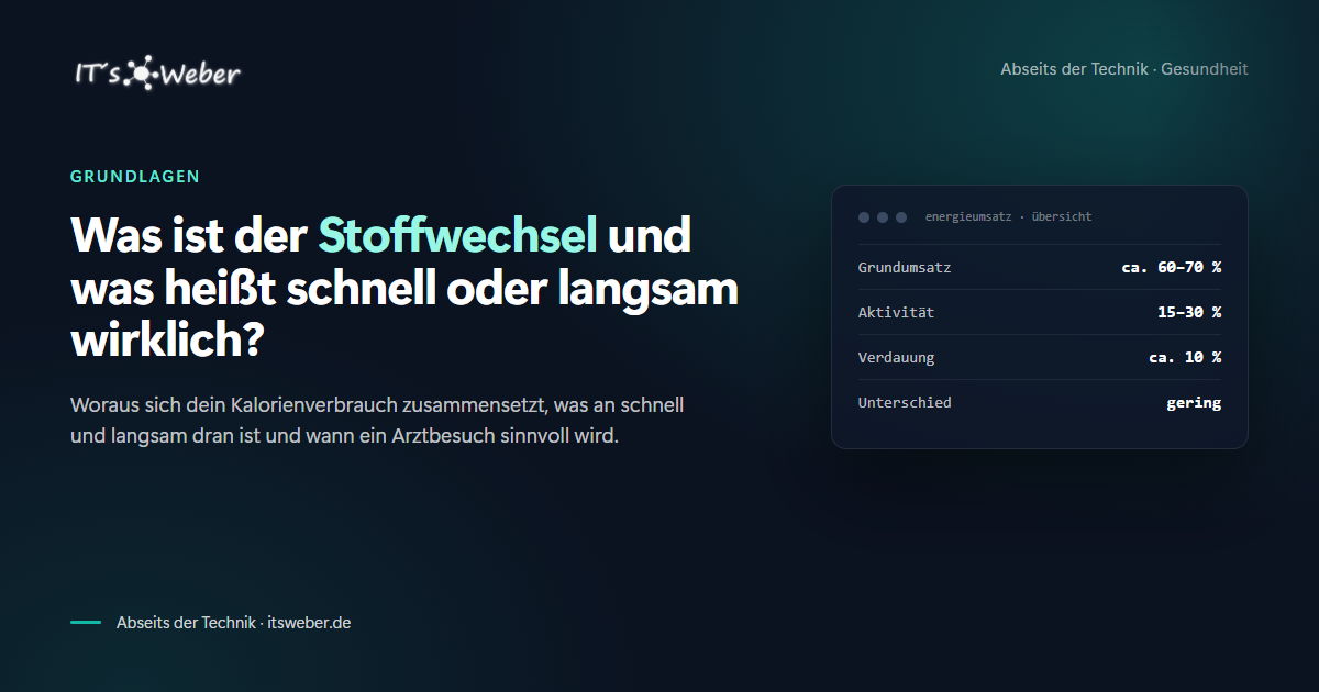 Was ist der Stoffwechsel und was heißt schnell oder langsam wirklich?