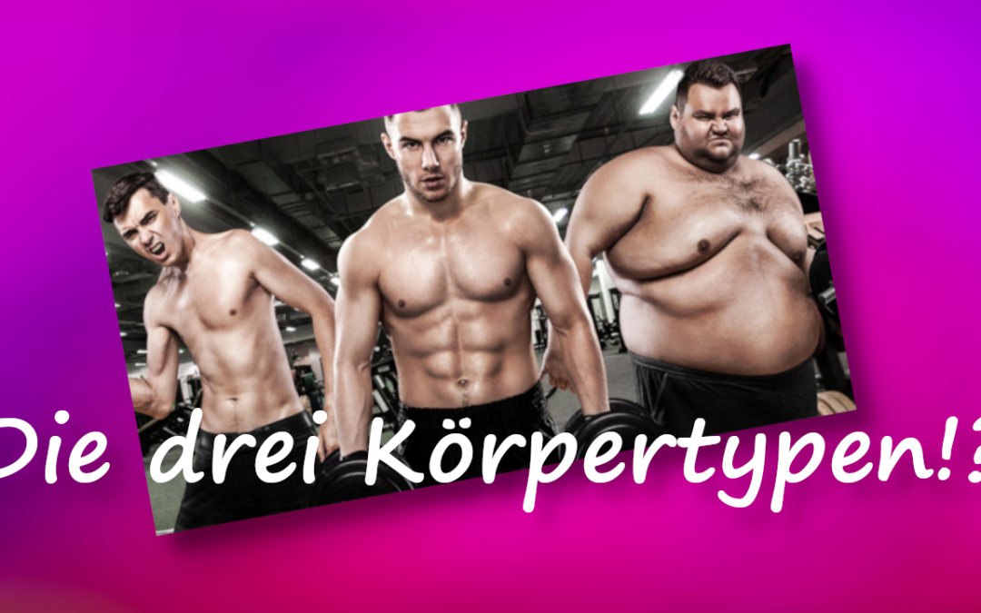 Die drei Körpertypen