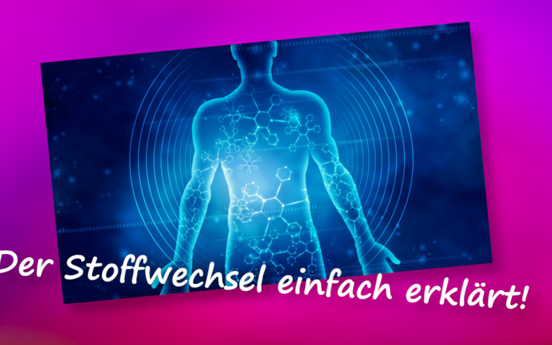 Was ist ein Stoffwechsel bei Menschen?