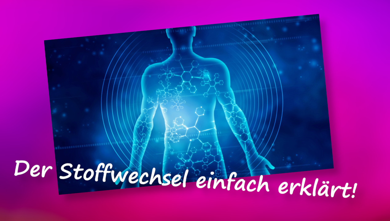 stoffwechsel
